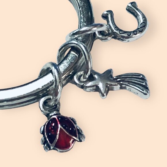 Brighton Silver-Tone Good Luck Heart Keychain Keyring With Charms - Picture 8 of 10